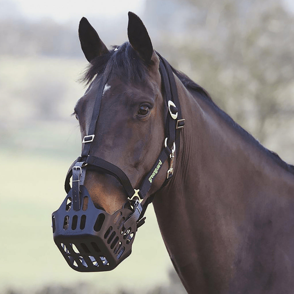 Grazing Muzzle