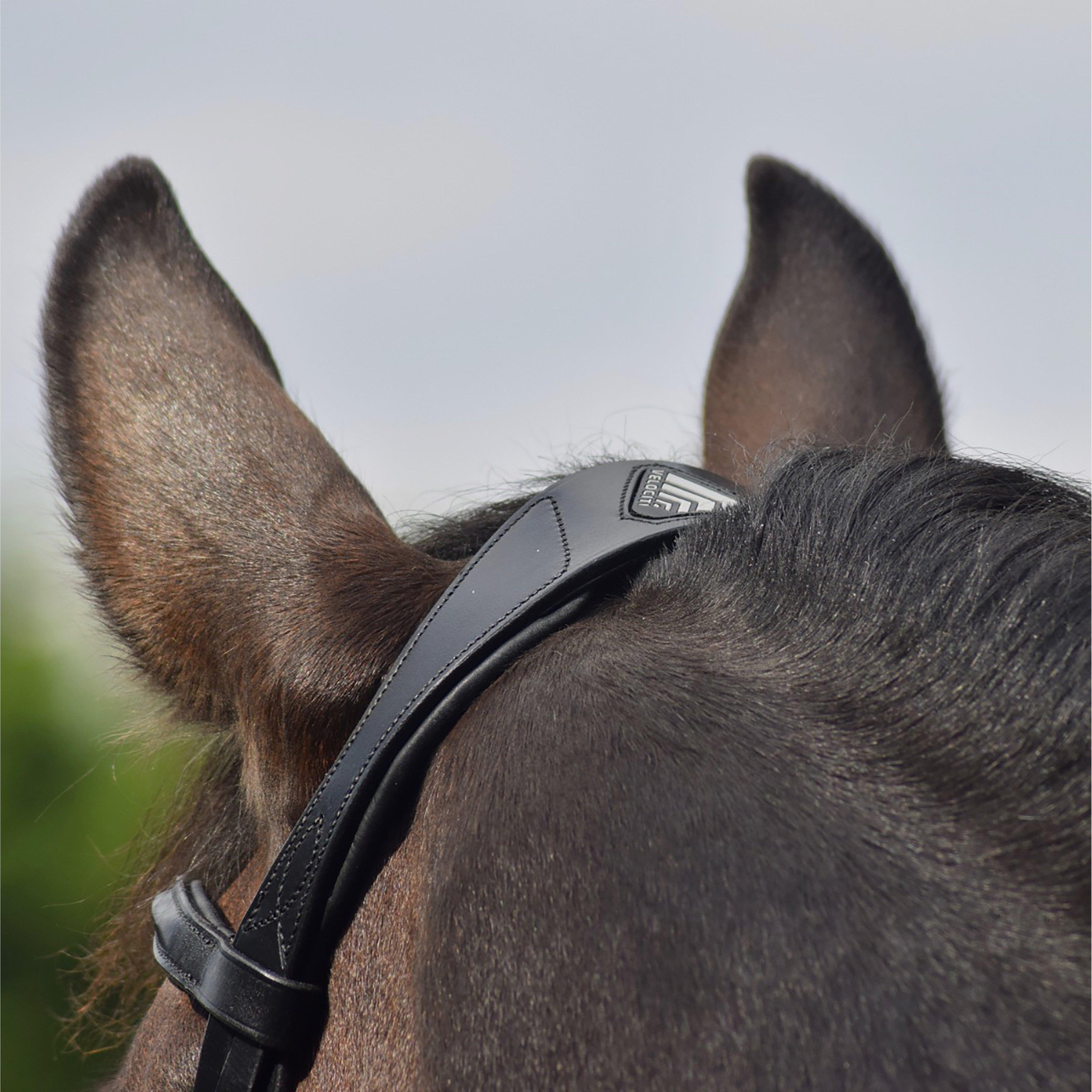 Dressage Flash Bridle Black