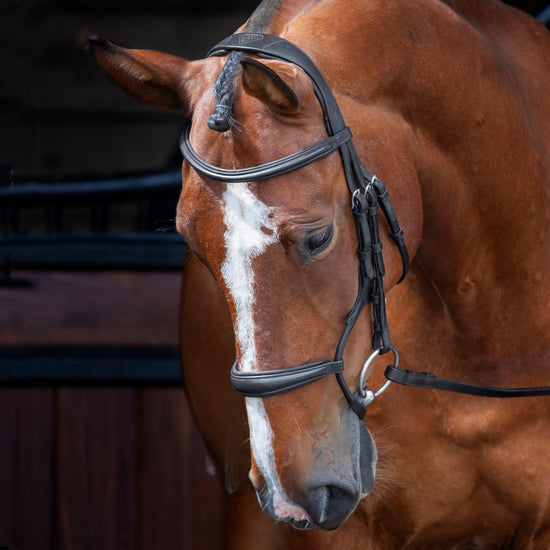 Velociti Rolled Padded Cavesson Bridle Black