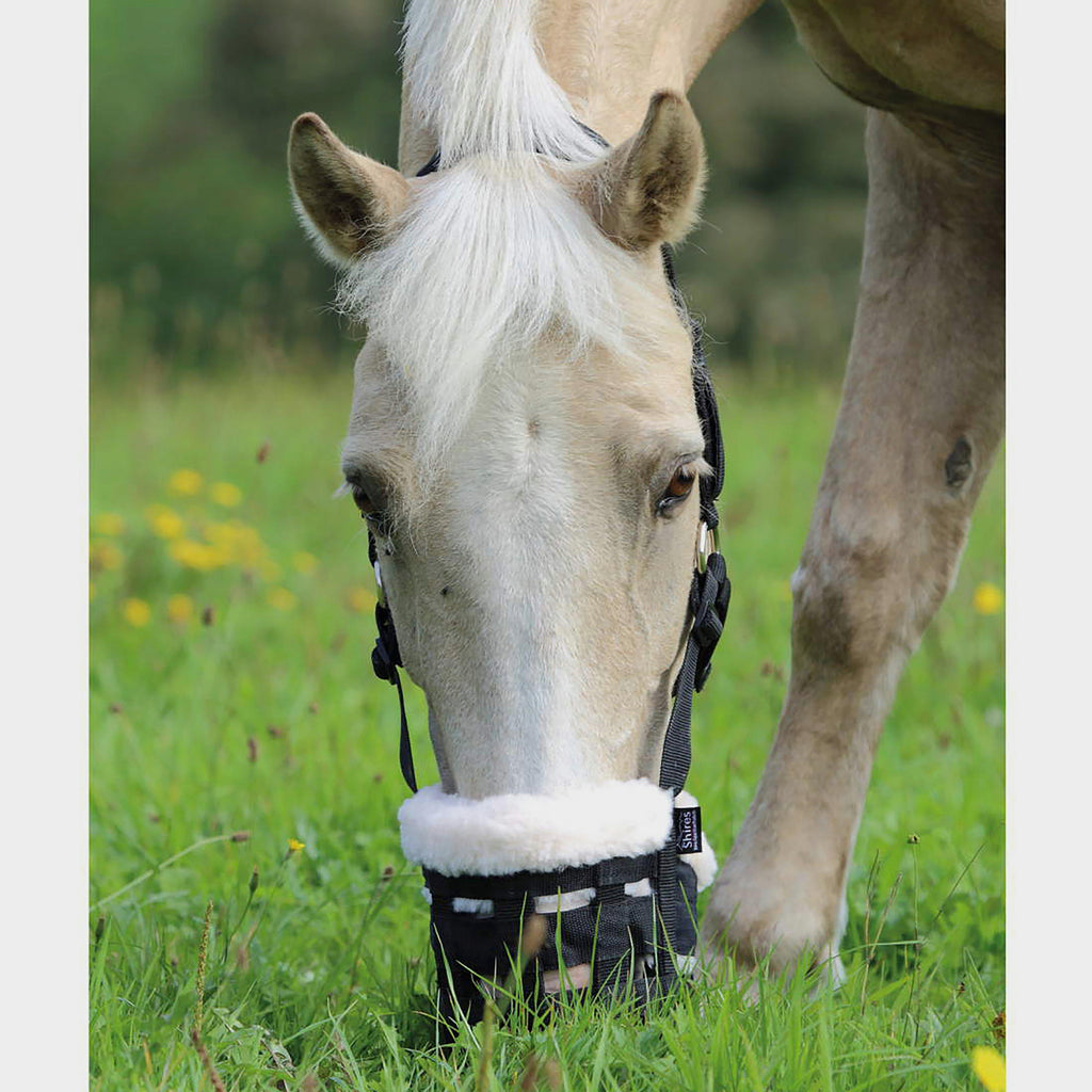 Deluxe Comfort Grazing Muzzle
