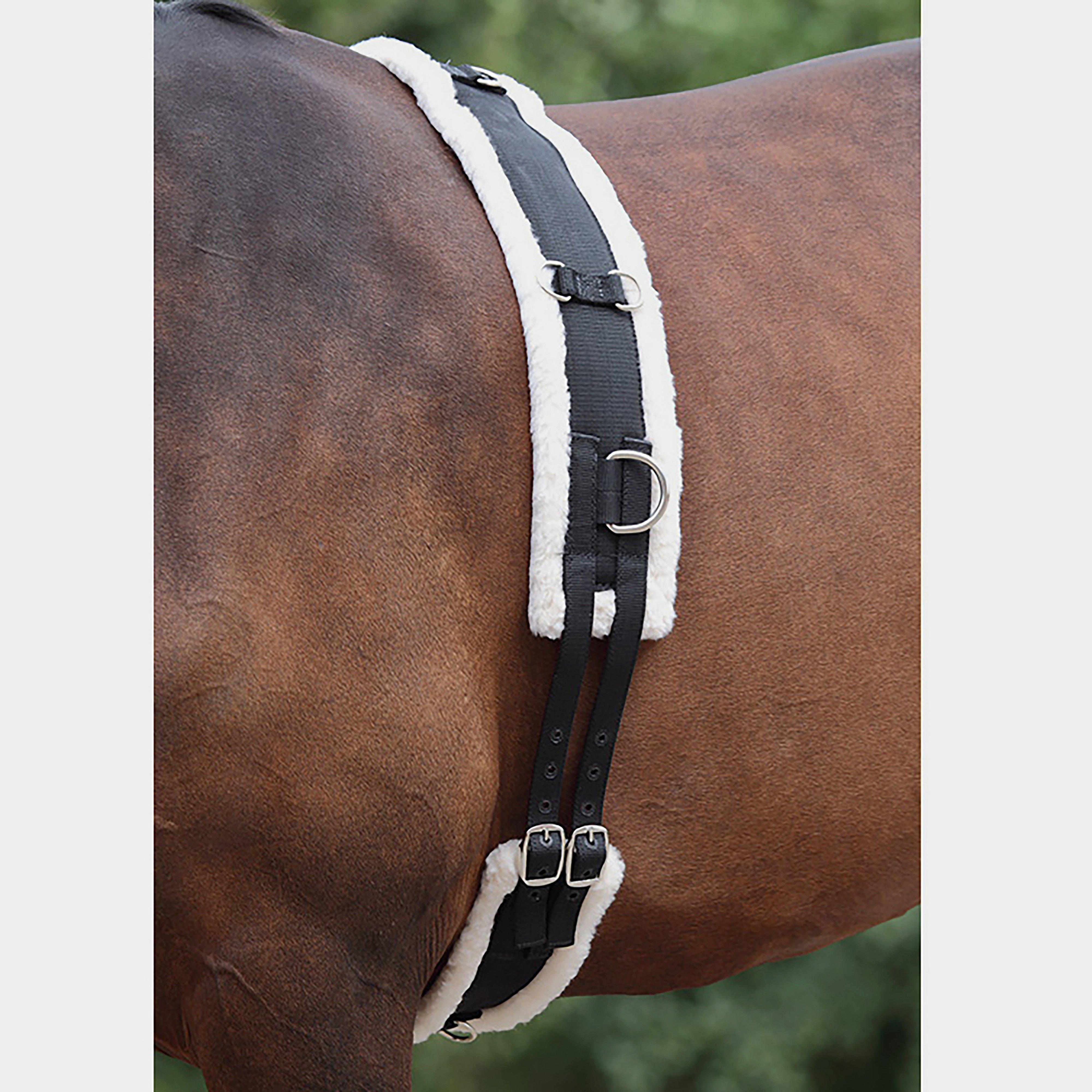 Nylon Fleece Lined Lunge Roller