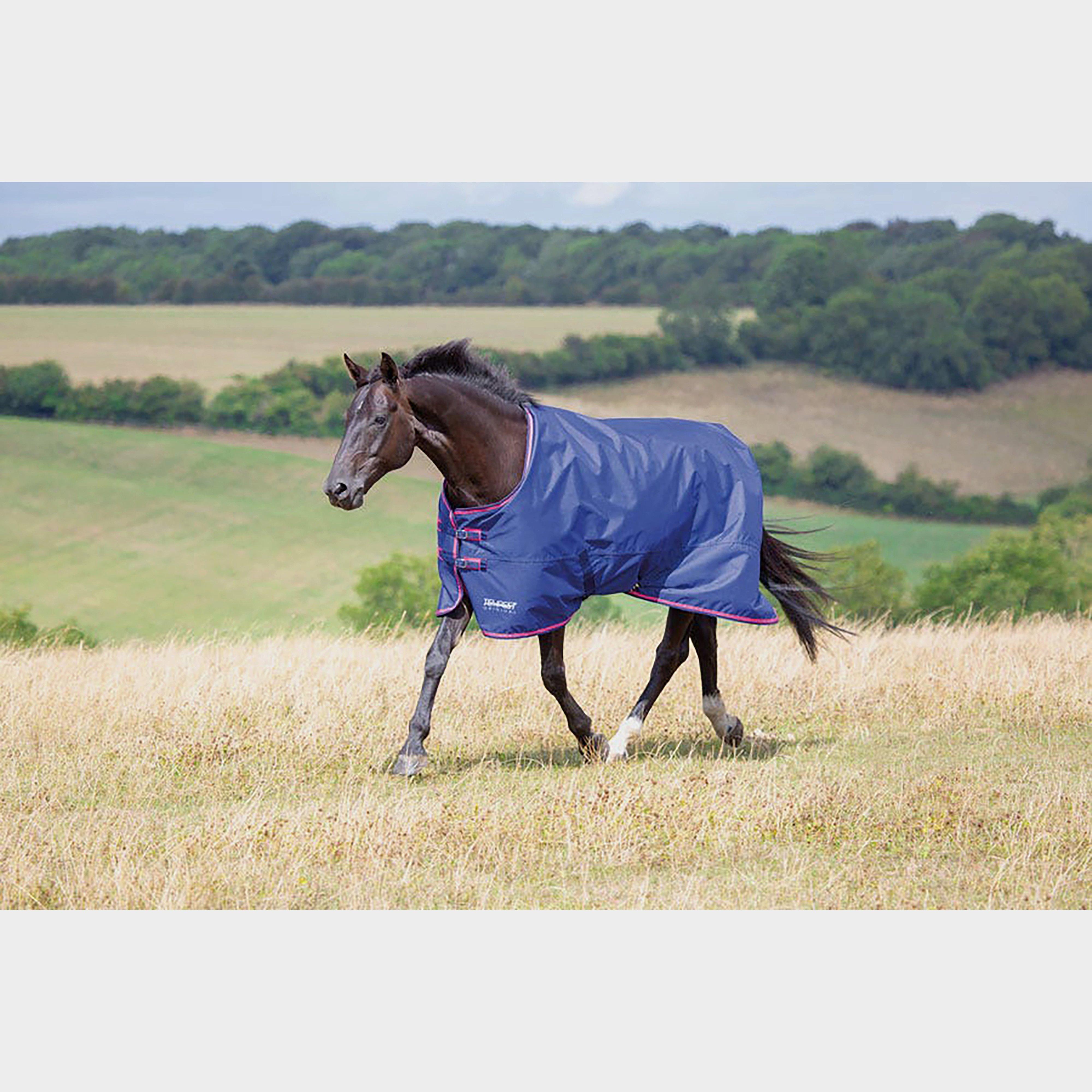 Tempest Original 100 Standard Neck Turnout Rug Navy/Pink