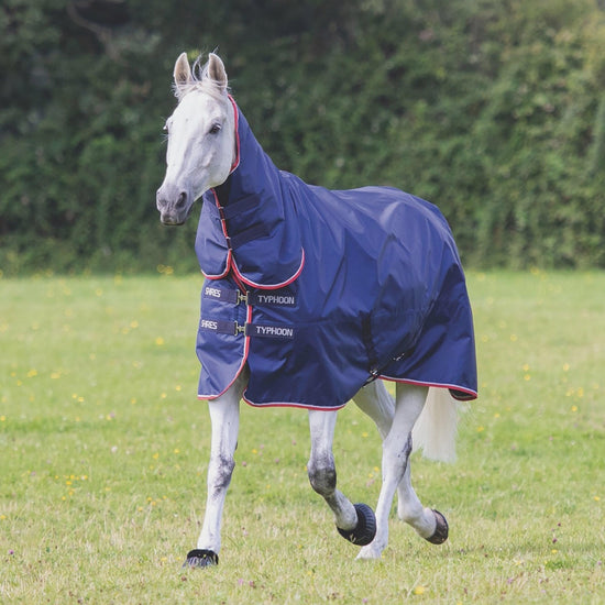 100g Combo Typhoon Turnout Rug