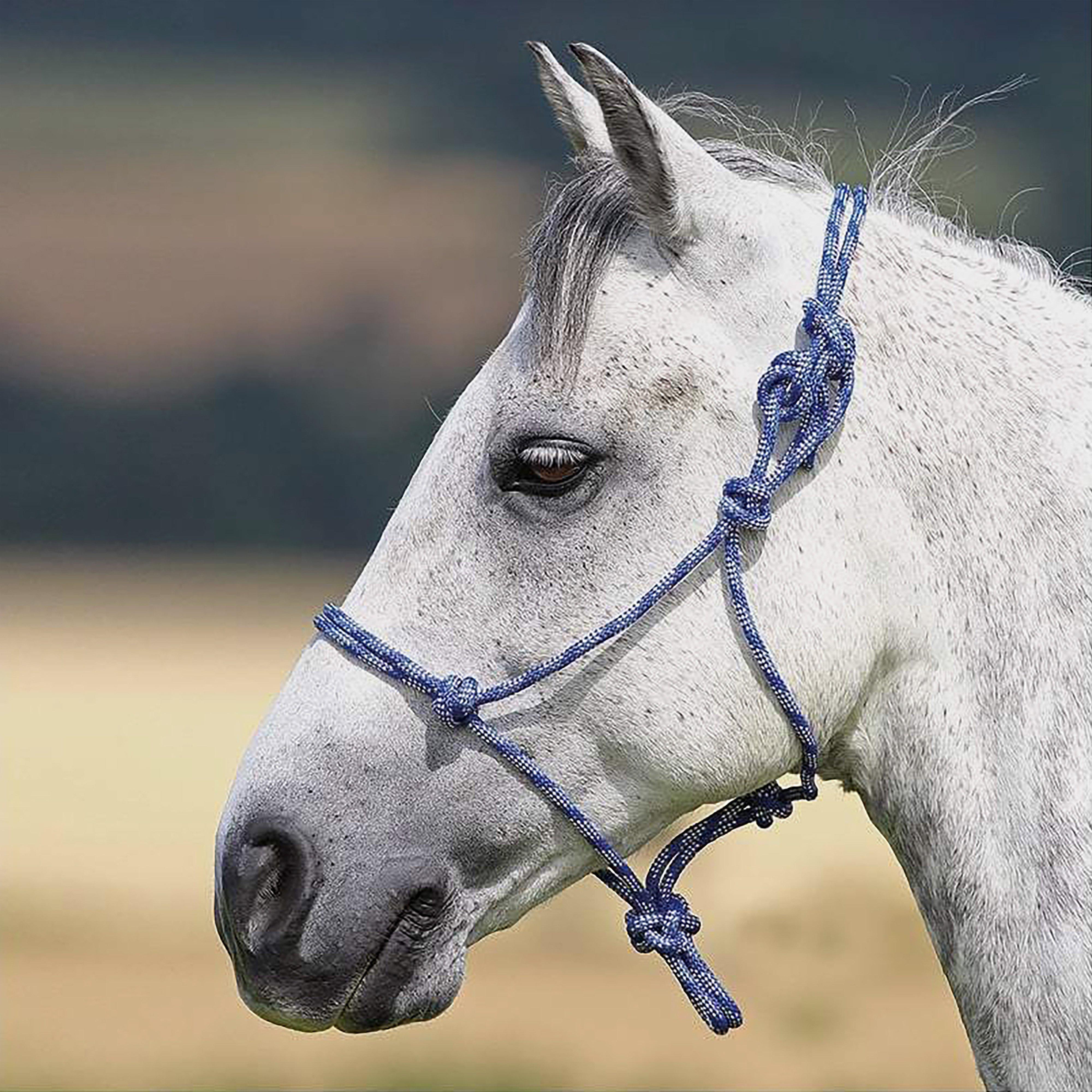 Adjustable Rope Halter