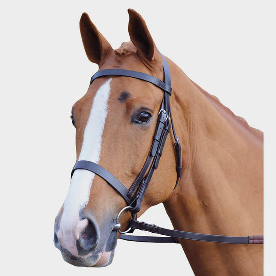 Plain Hunt Bridle