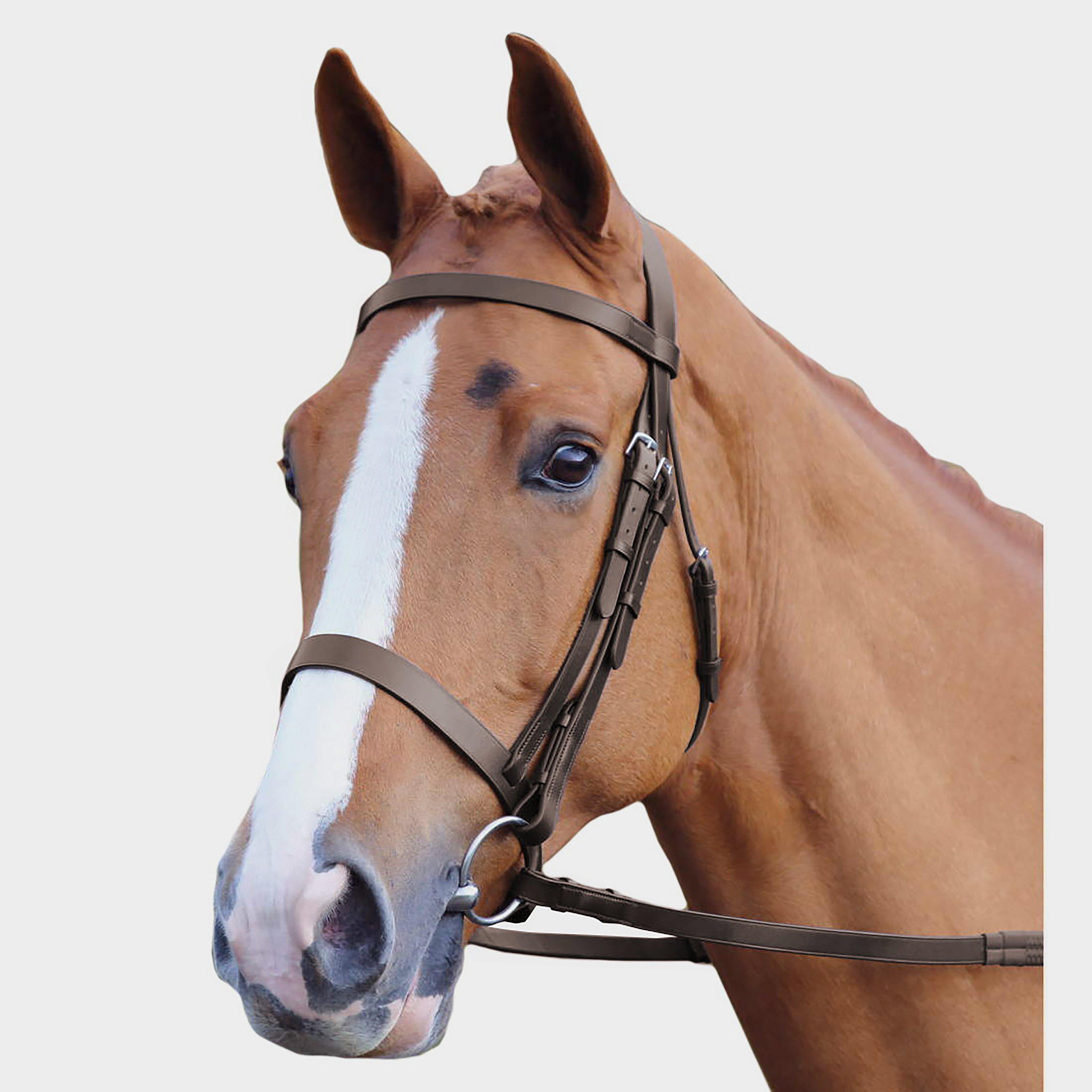 Plain Hunt Bridle