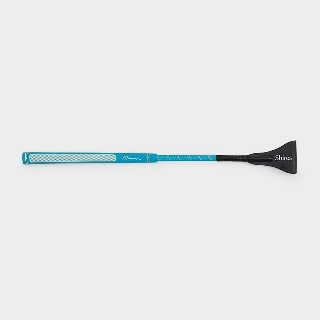 Rainbow Jumping Bat