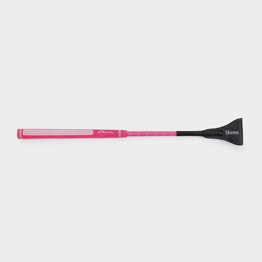 Rainbow Jumping Bat