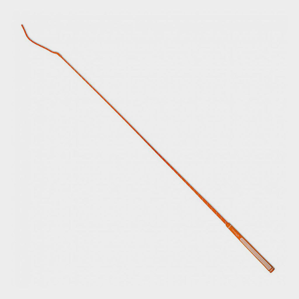Rainbow Schooling Whip