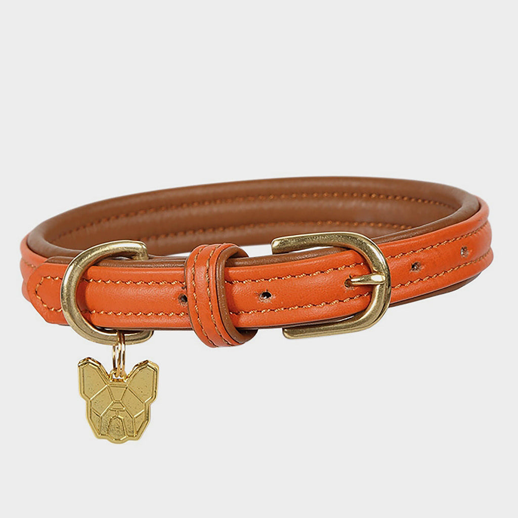 Padded Leather Dog Collar