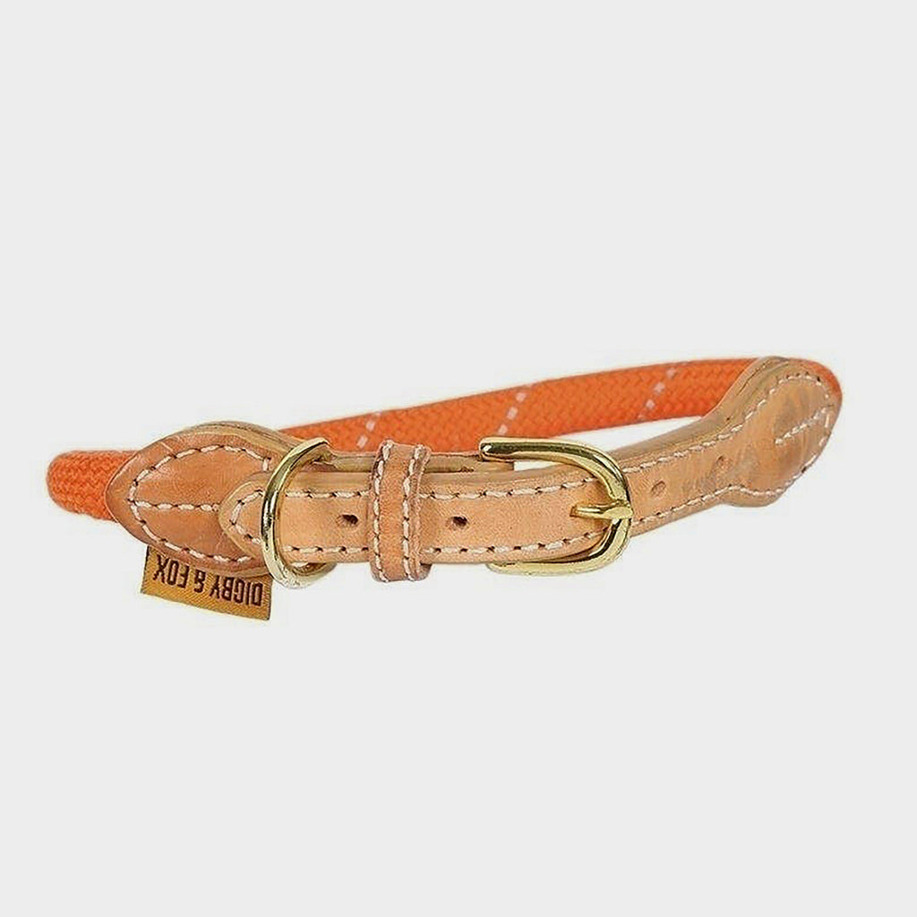 Reflective Dog Collar Orange