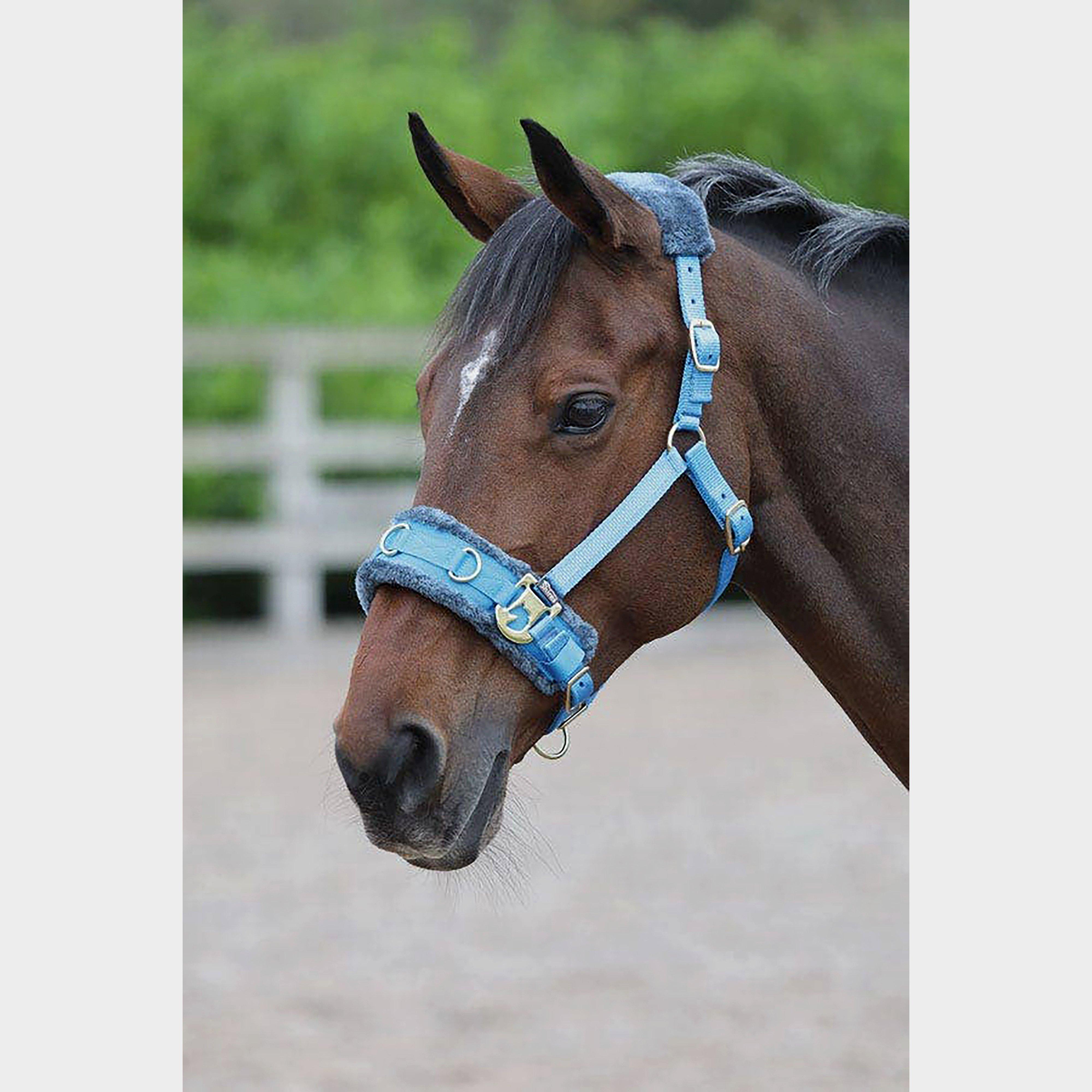 Fleece Lined Lunge Cavesson