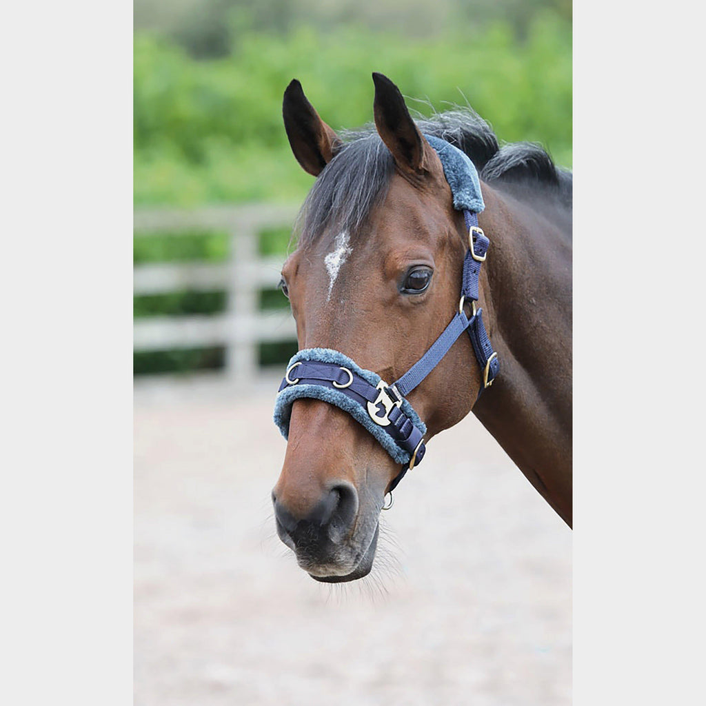 Fleece Lined Lunge Cavesson