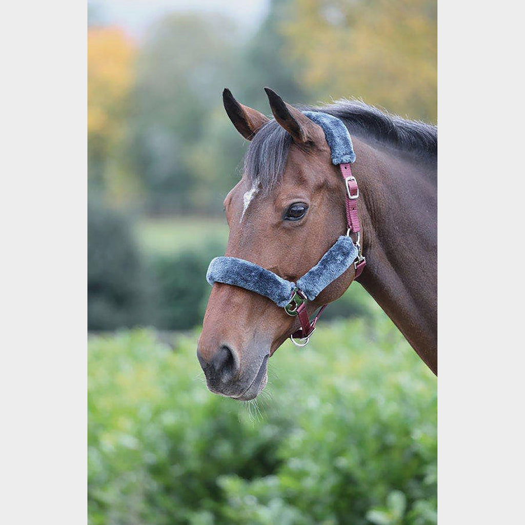 Fleece Lined Headcollar Burgundy/Grey