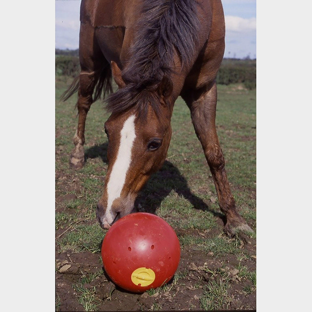 Snak-A-Ball