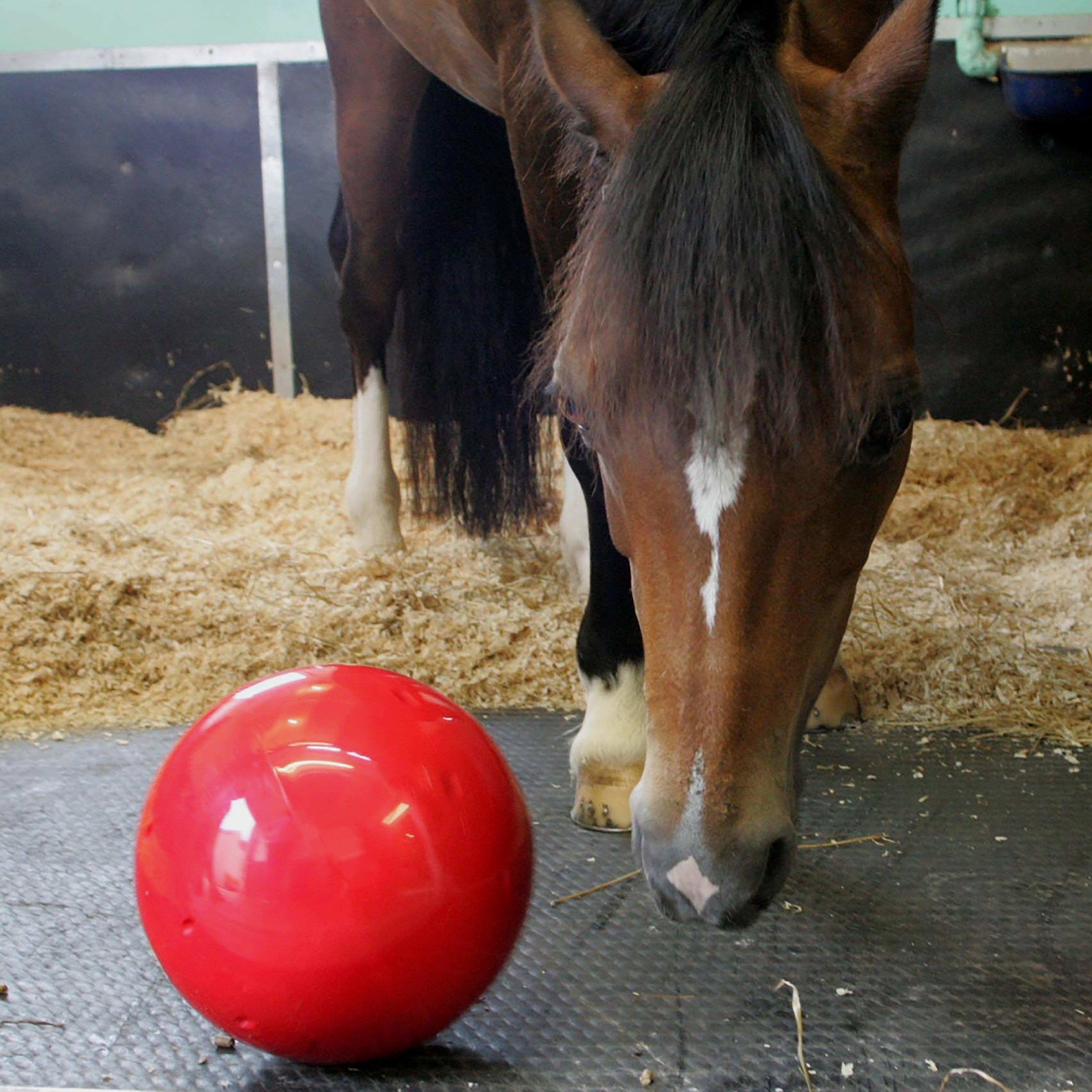 Snak-A-Ball
