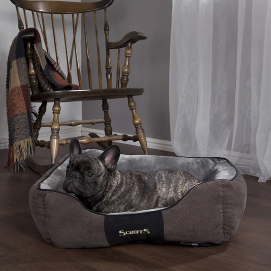 Chester Dog Bed Large