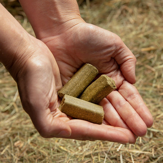 Meadow® Herb Glucosamine Treats