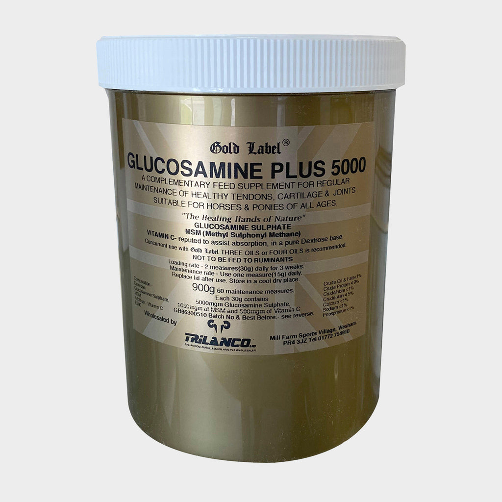Glucosamine Plus 5000 900g