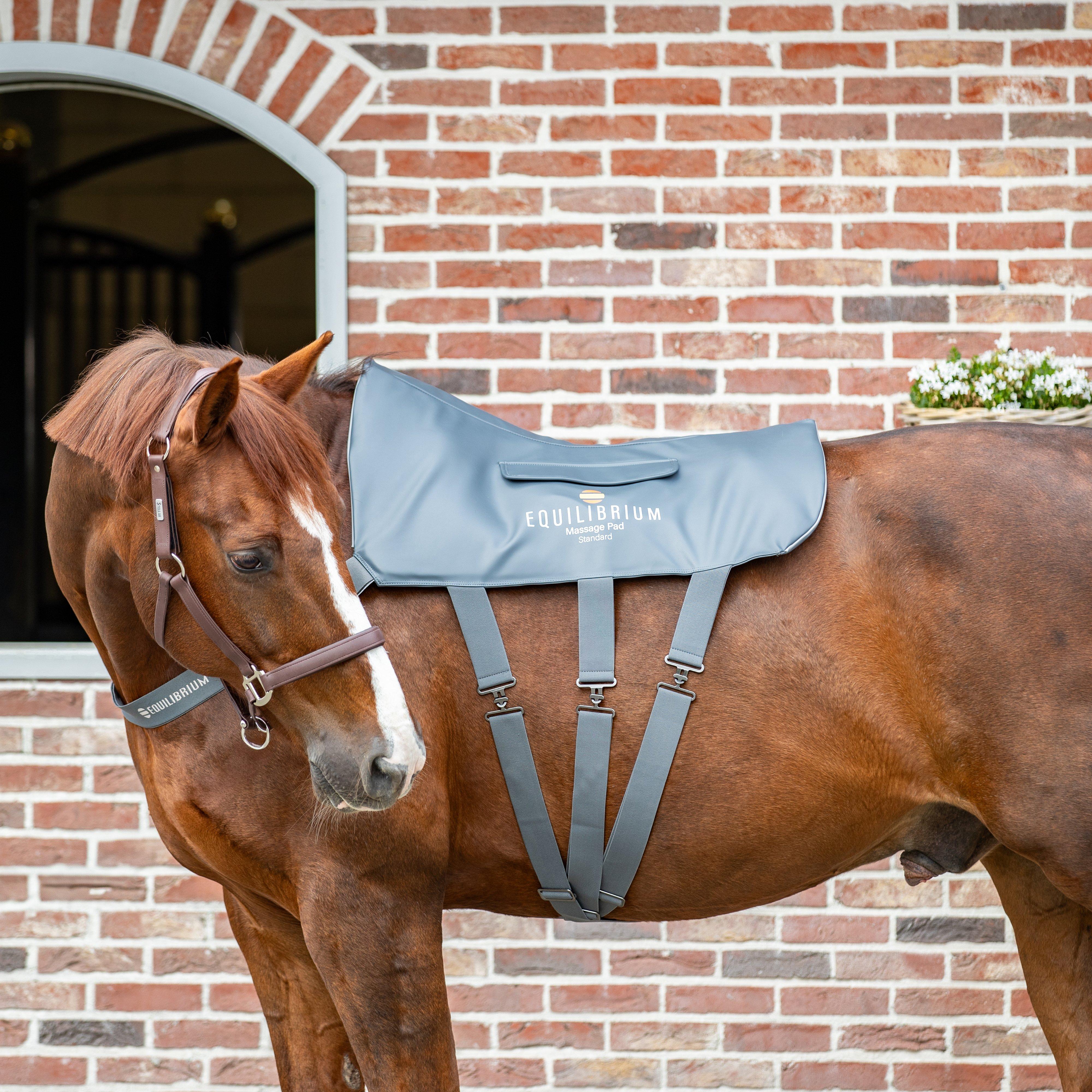 Equilibrium Massage Pad