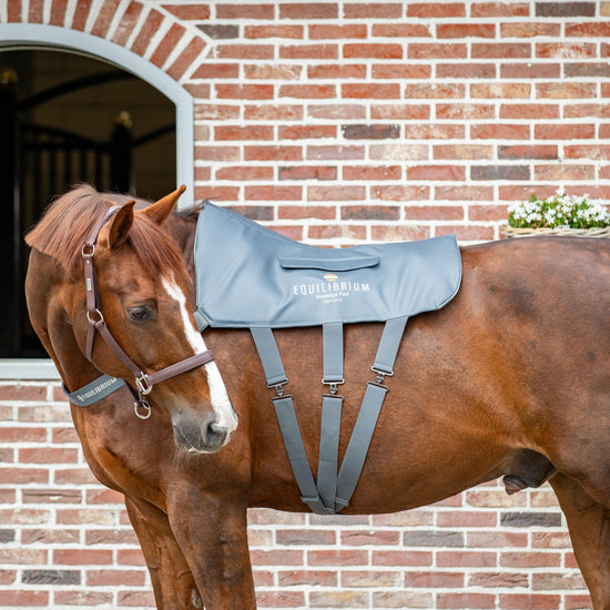 Equilibrium Massage Pad