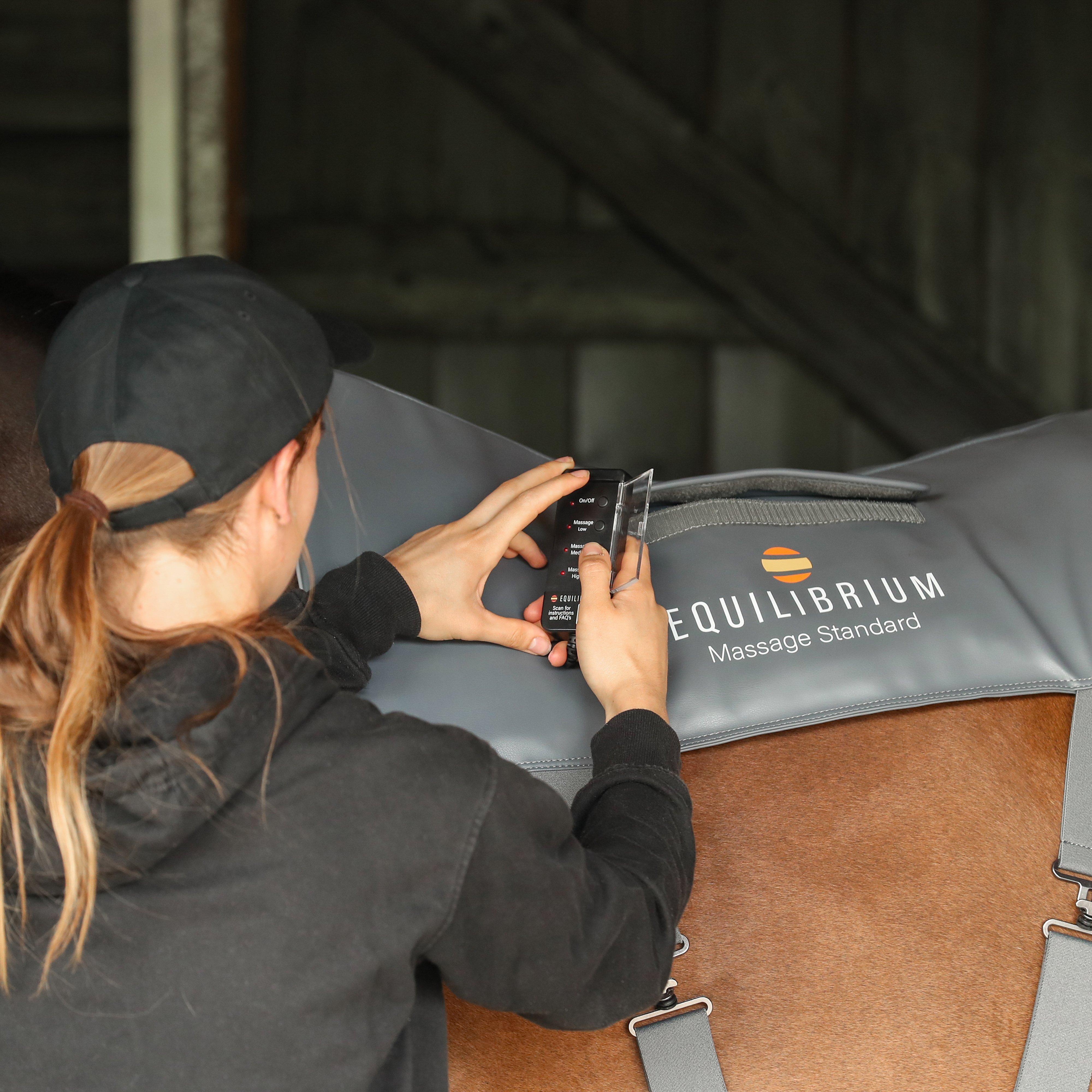 Equilibrium Massage Pad