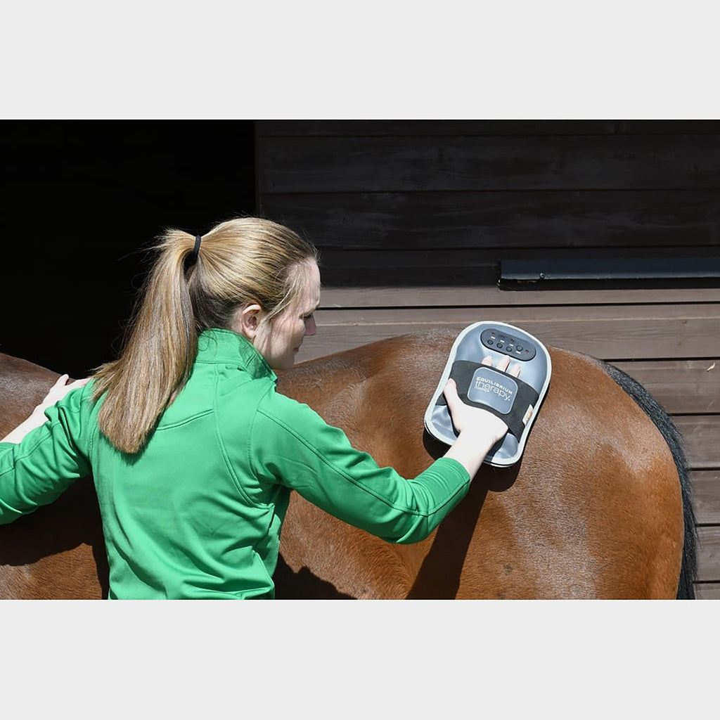 Equilibrium Massage Pad