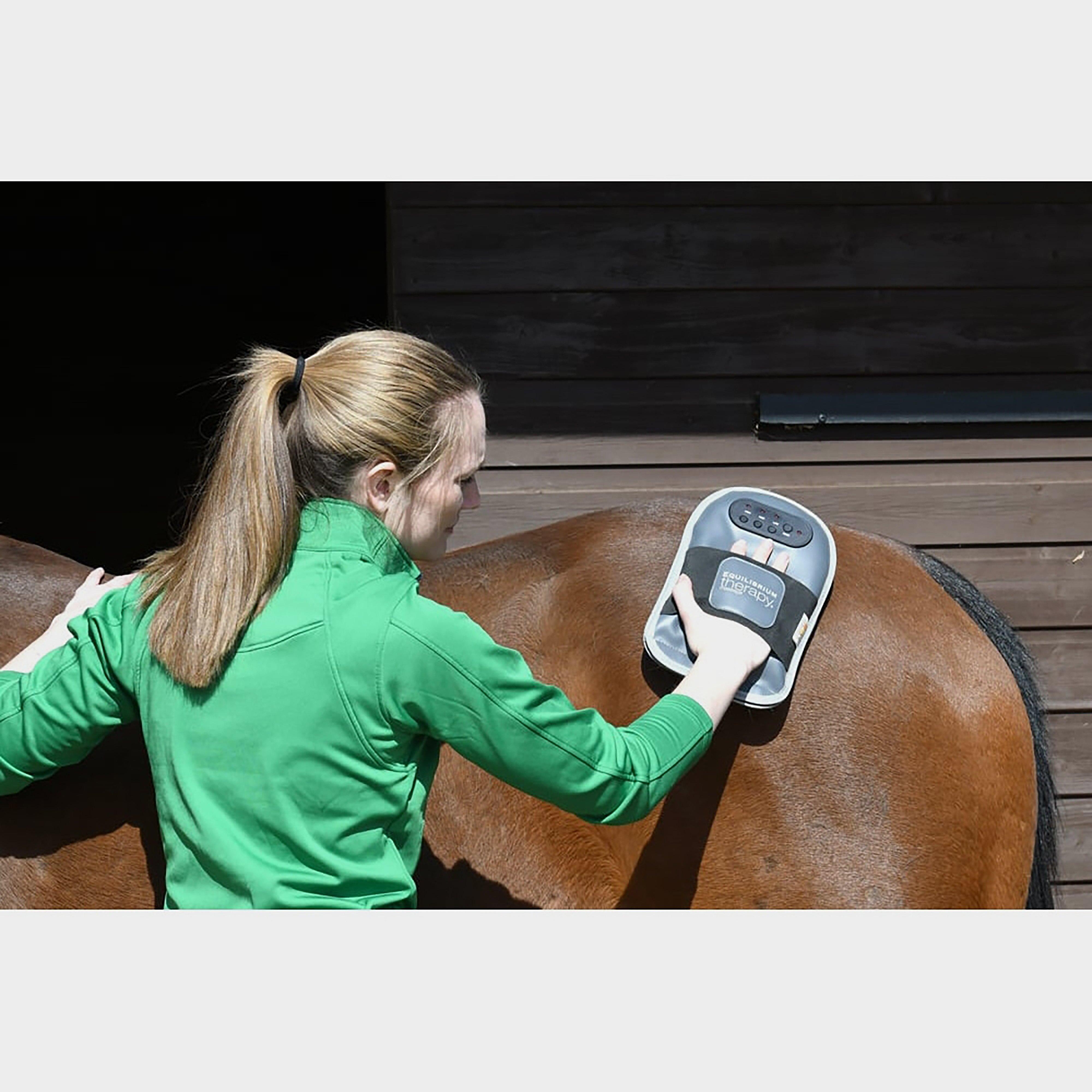 Equilibrium Massage Pad