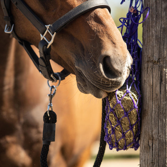 Equilibrium Vitamunch Singles