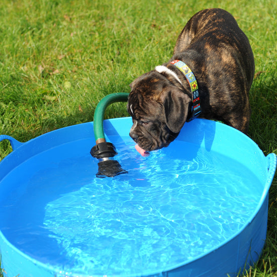 Shallow Gorilla Tub®