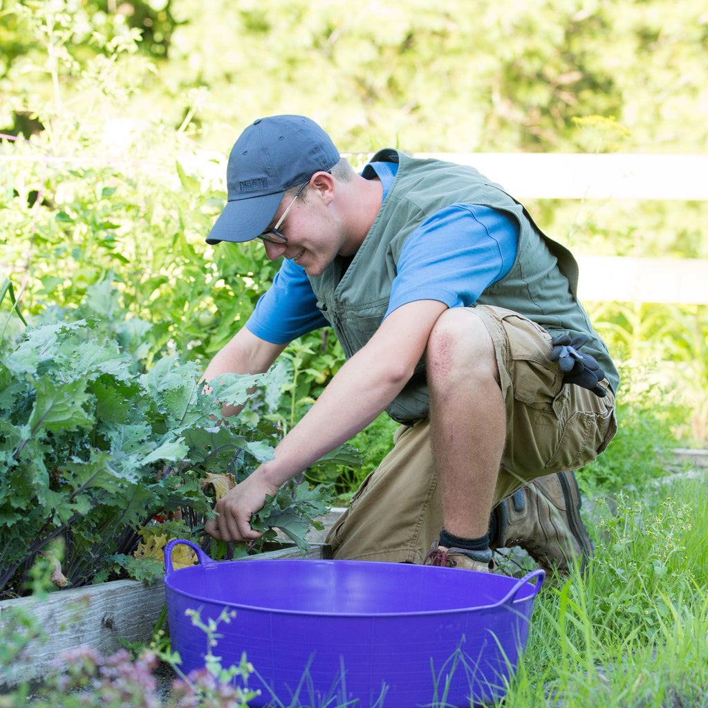 Shallow Gorilla Tub®
