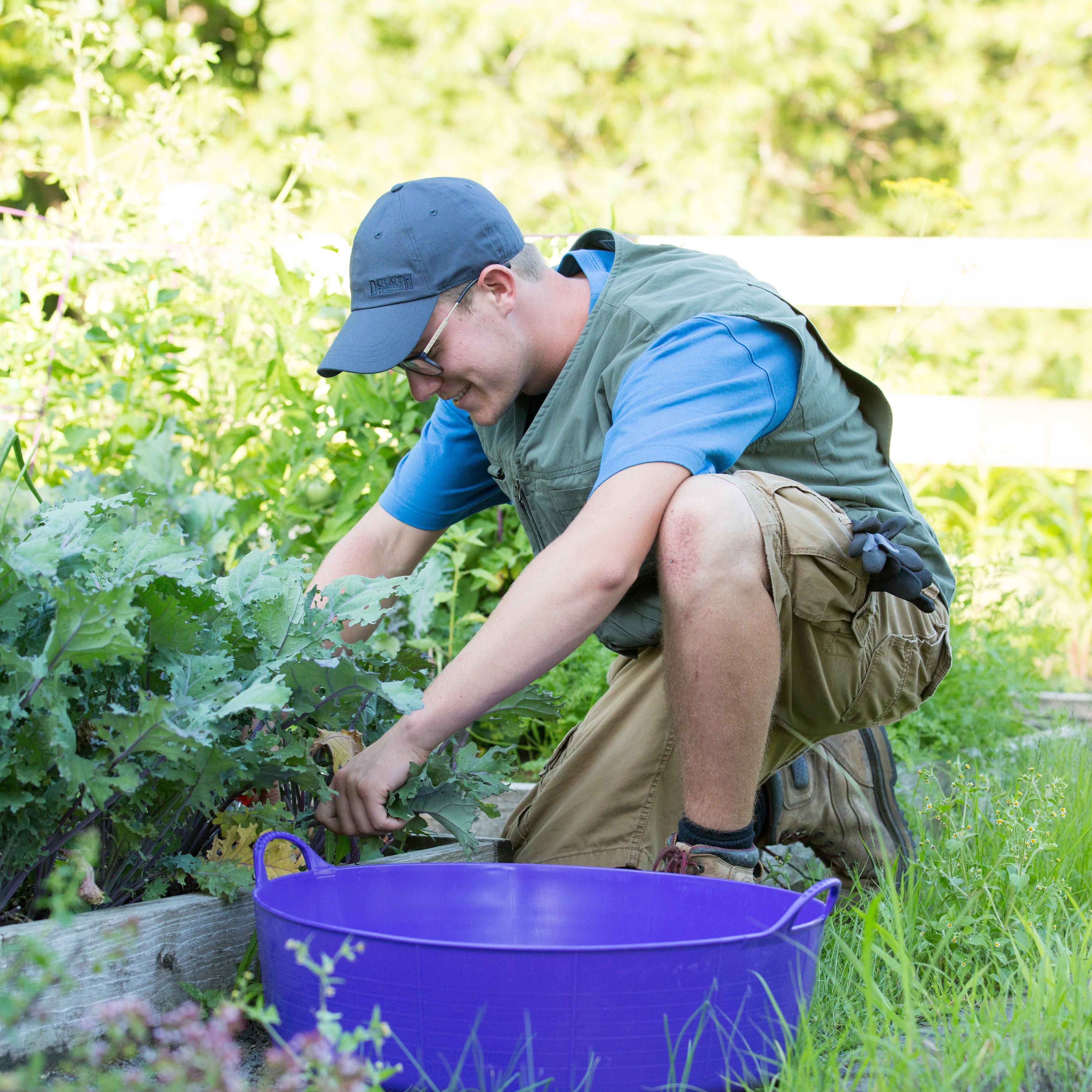 Shallow Gorilla Tub®