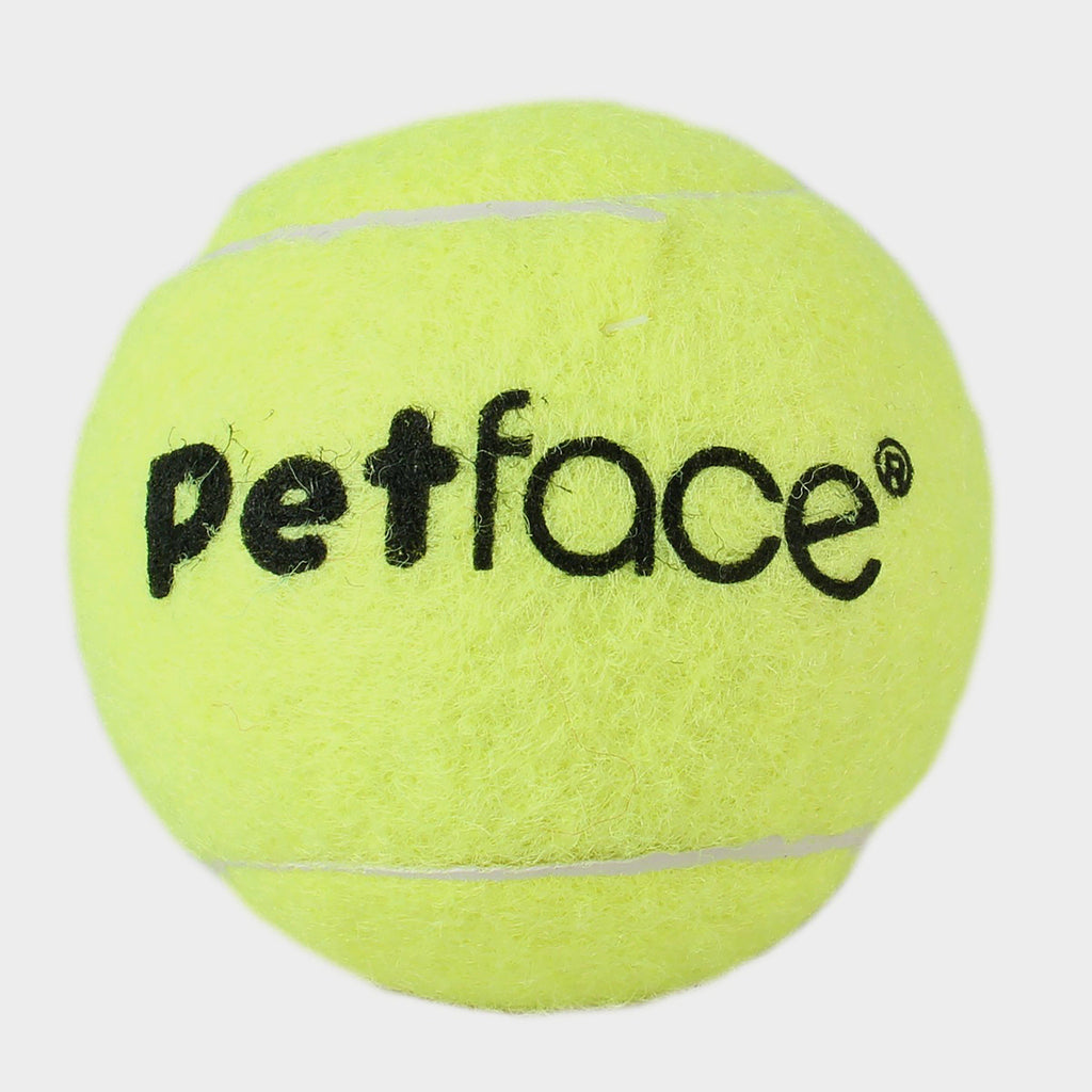 Single Tennis Ball