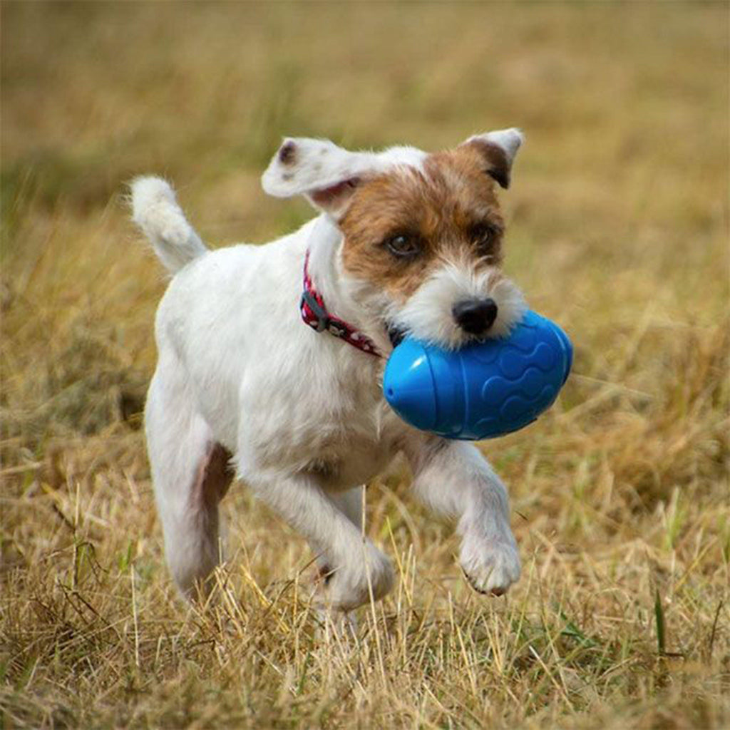Toyz Rugby Ball