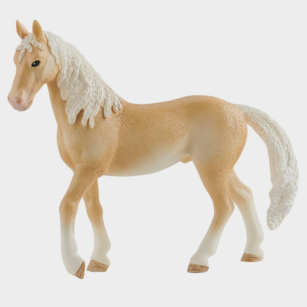 Akhal-Teke Stallion