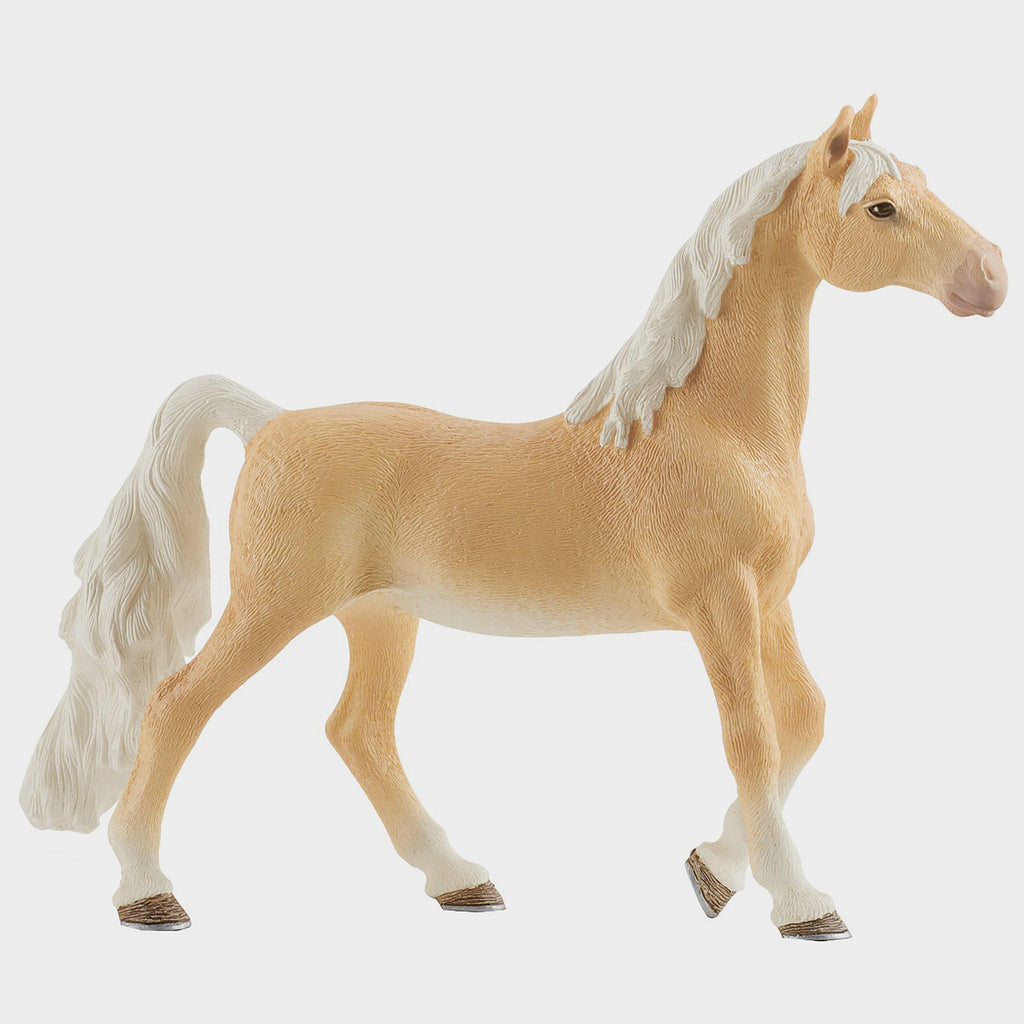 American Saddlebred Mare