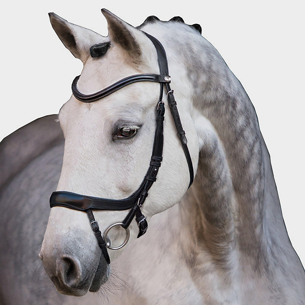 Equitus Alpha Anatomic Bridle