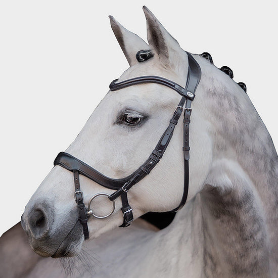 Equitus Alpha Anatomic Bridle