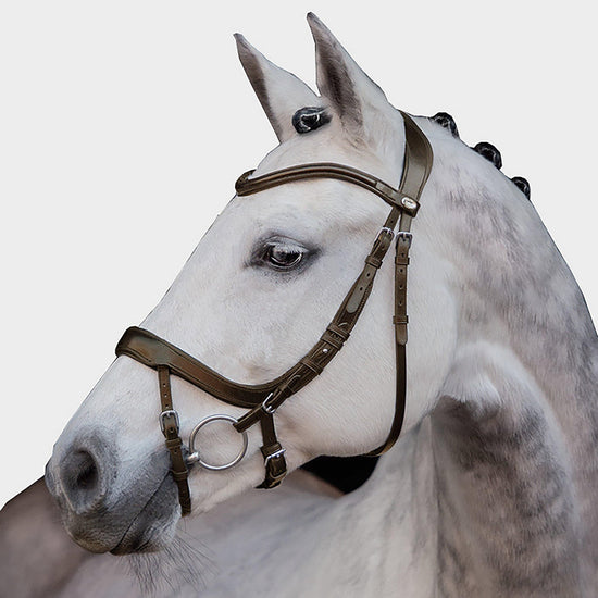 Equitus Alpha Bridle in Espresso