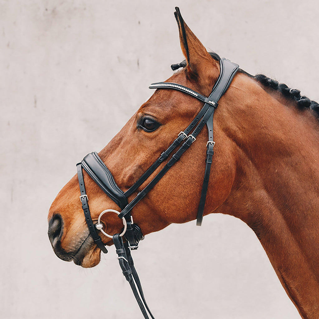 Stanford Flash Bridle Black