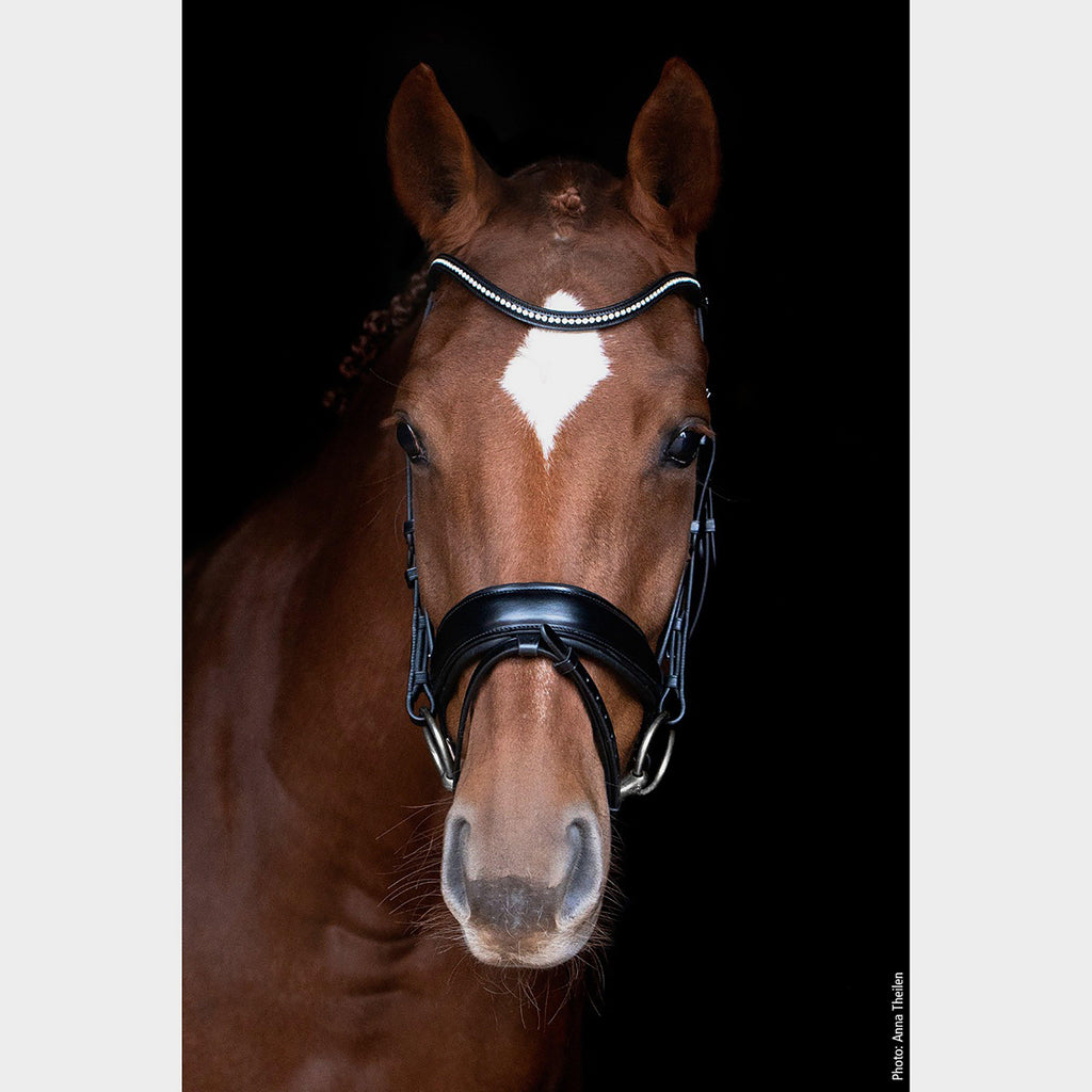 Stanford Flash Bridle Black