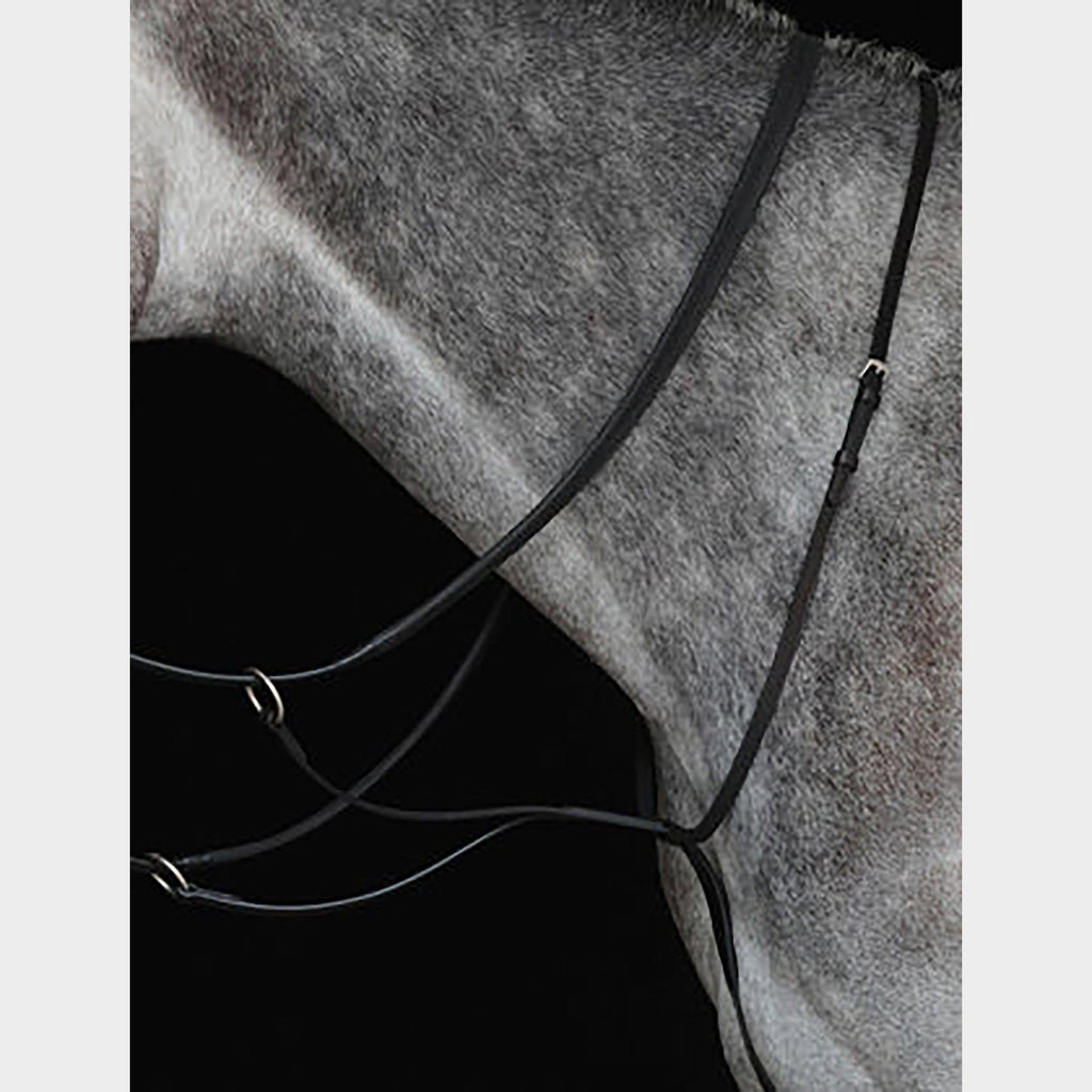 Running Martingale IV