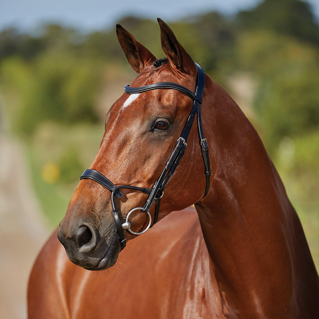 ComFiTec Training Bridle