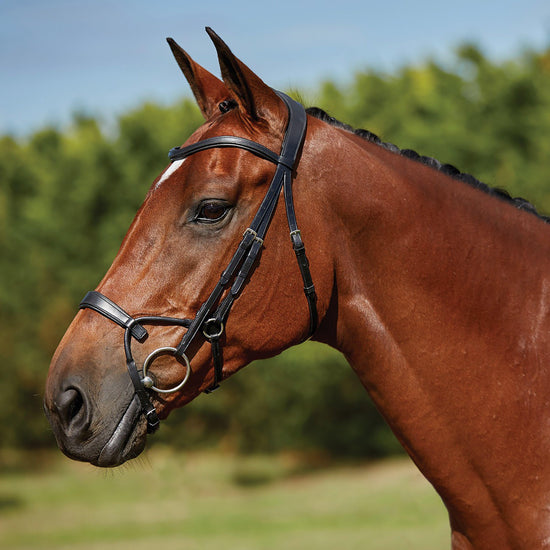 ComFiTec Training Bridle
