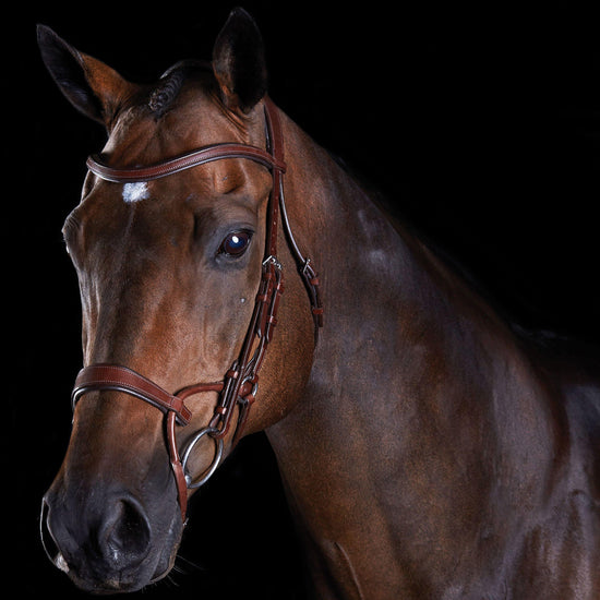 ComFiTec Training Bridle