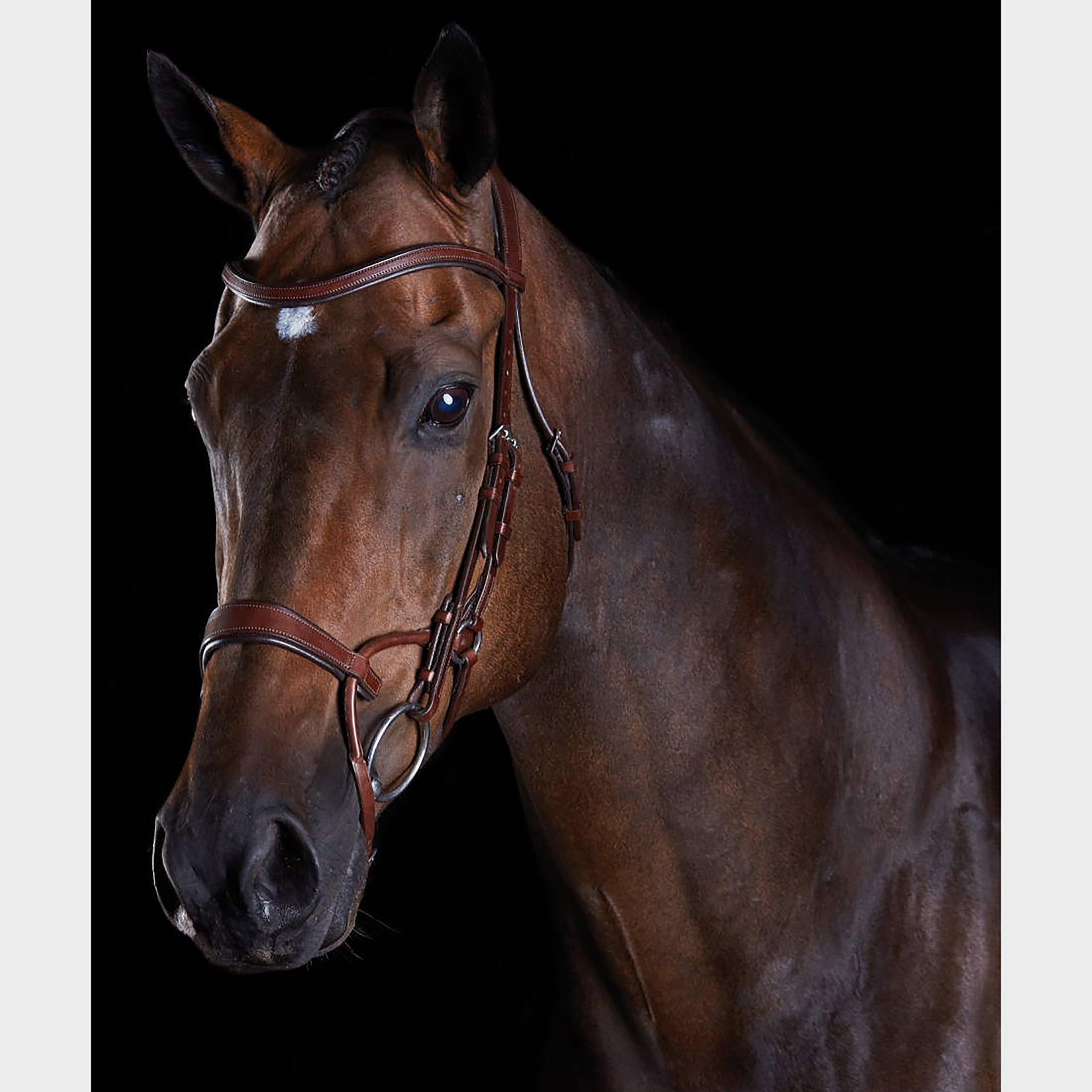 ComFiTec Training Bridle