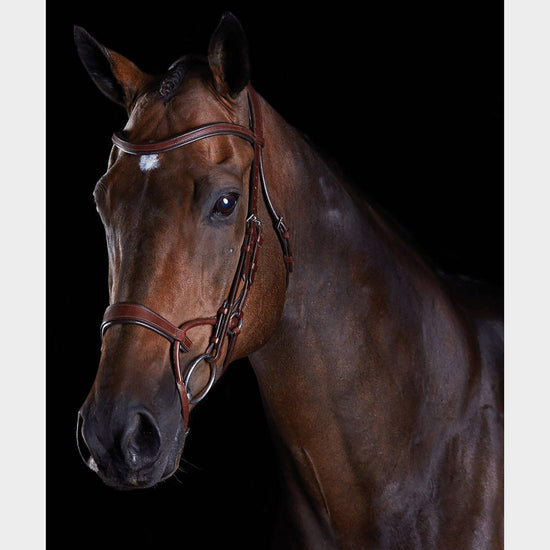 ComFiTec Training Bridle
