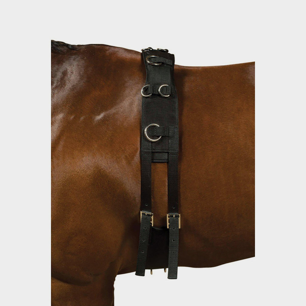 Deluxe Equigrip Lunge Roller Black