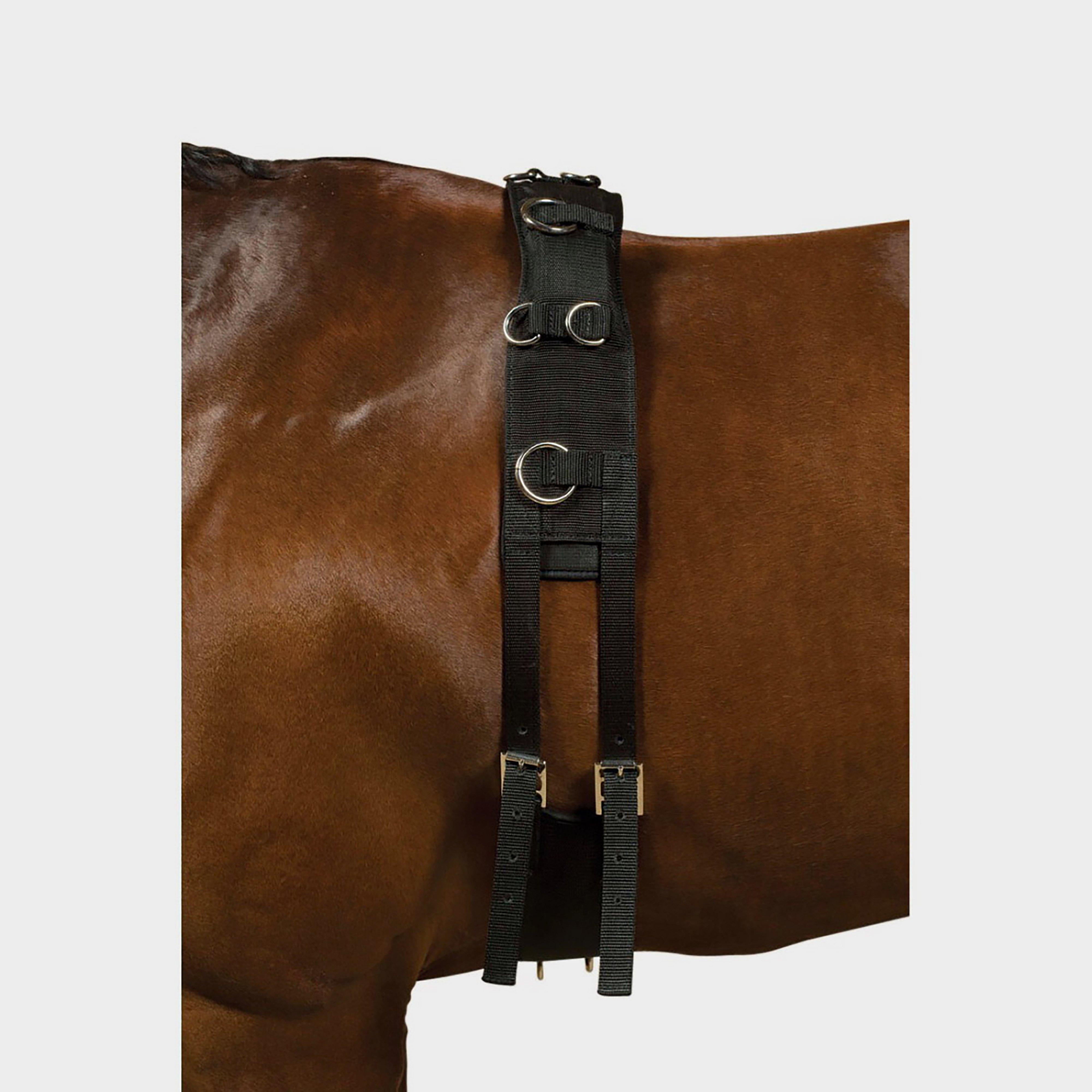 Deluxe Equigrip Lunge Roller Black