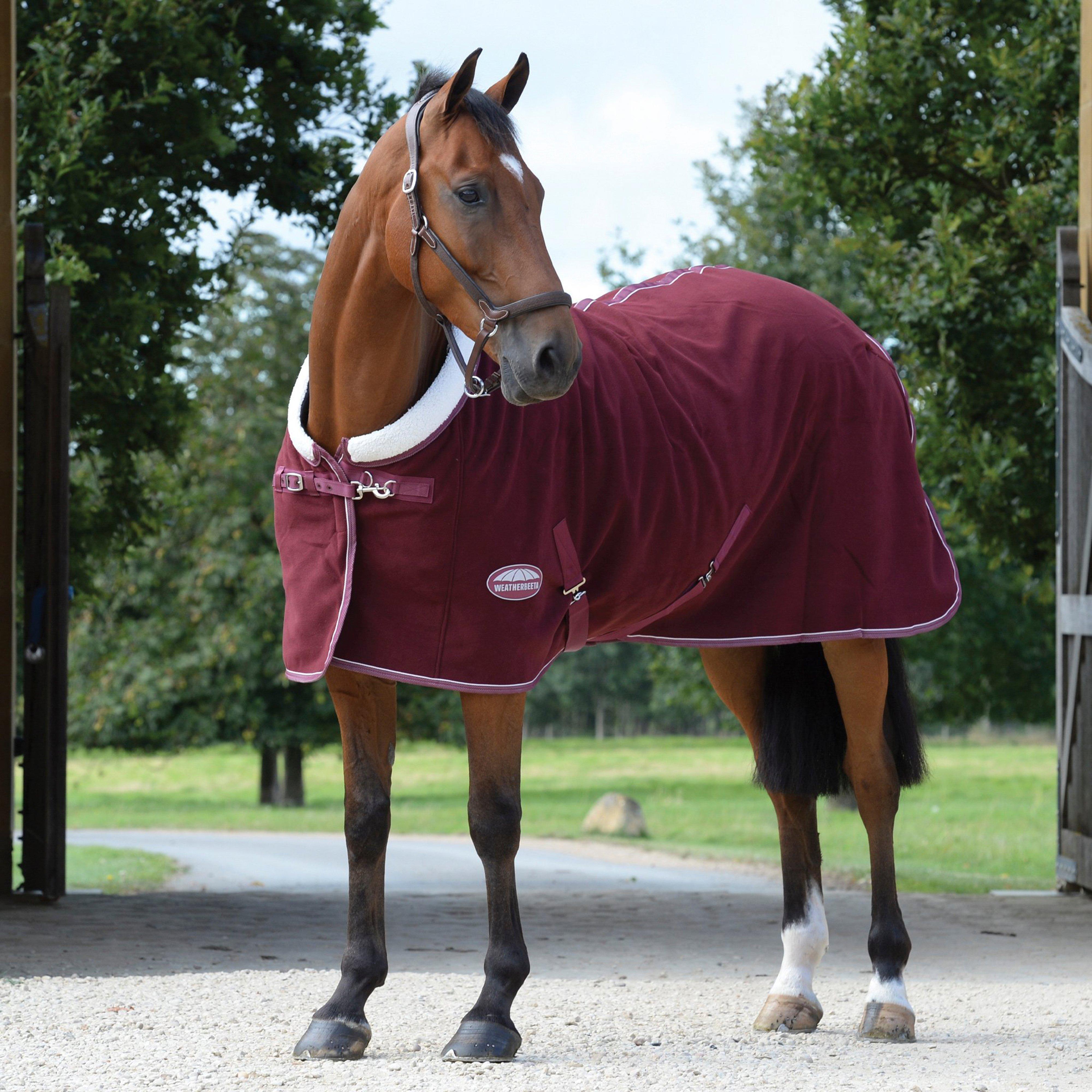 Sherpa Fleece Standard Neck Cooler